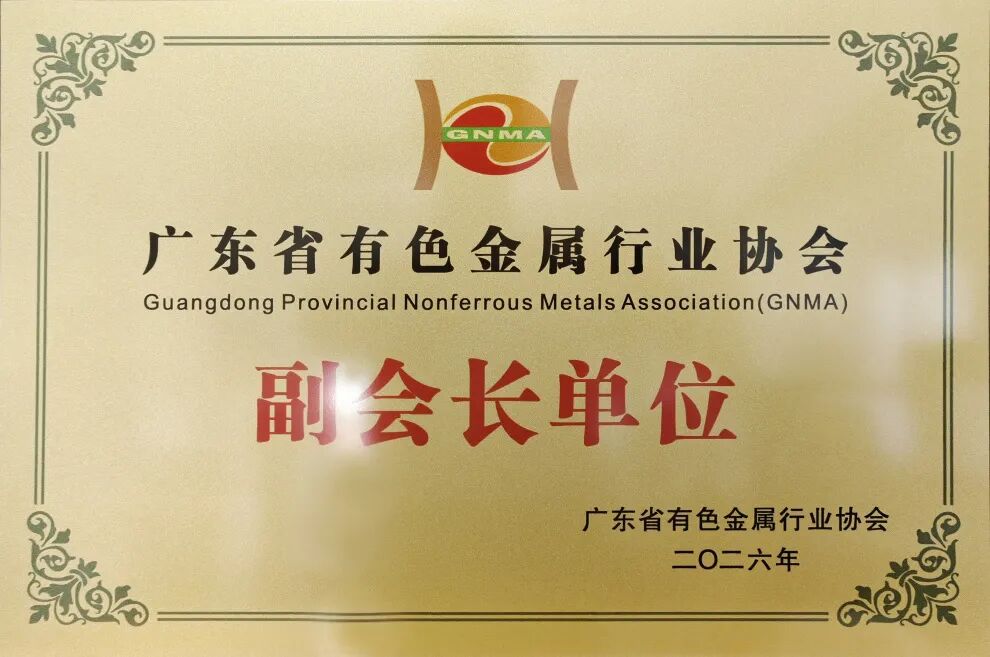 تعيين Guangya Holdings كوحدة نائب رئيس جمعية صناعة المعادن غير الحديدية في مقاطعة Guangdong